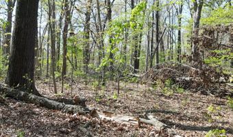 000 Plainview Rd, Anderson, MO 64831