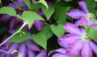 26 Woodland Dr, Barre, VT 05641