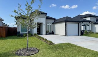 1313 W Dawes Ave W, Alton, TX 78573