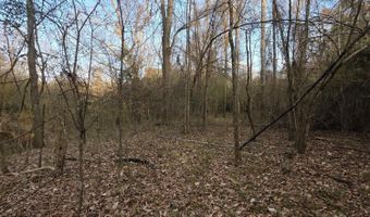 U.S. Highway 51, Bogue Chitto, MS 39629