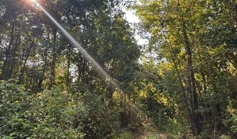 0 Military Rd, Beaverton, AL 35544