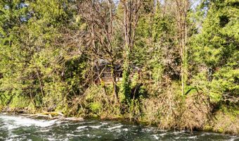 55450 MCKENZIE RIVER Dr, Blue River, OR 97413