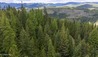Nna Hugus Creek Road, Calder, ID 83808