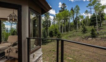 25 Los Alamos Cir, Angel Fire, NM 87710