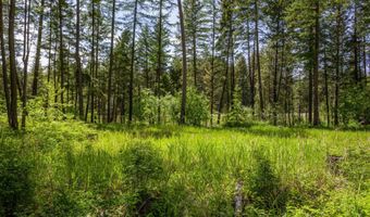 8615 Mt Hwy 35, Bigfork, MT 59911