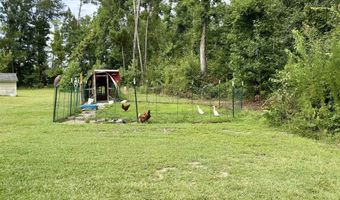 187 H Pope Rd, Adrian, GA 31002