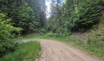 480 Dunn Peak Rd, Avery, ID 83802