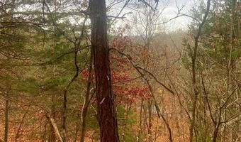 SPITZ Lane, Basye, VA 22810