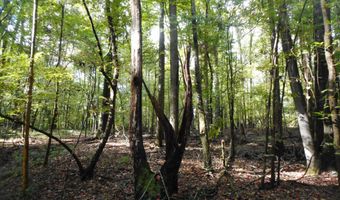 Anding Oil City Road, Bentonia, MS 39040