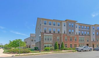25286 GRAY POPLAR Ter, Aldie, VA 20105