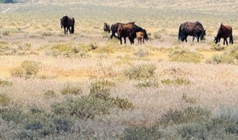 T32 Sec 27, Imlay, NV 89418