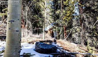 944 Roberts Rd, Alma, CO 80420