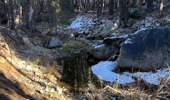 550 Cabbage Patch Log Rd, South Lake Tahoe, CA 95223