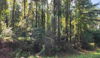 0 Lowery Rd Lot #11, Atmore, AL 36502