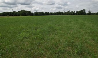 Tract 1 0000 Private Road 1184, Aurora, MO 65605