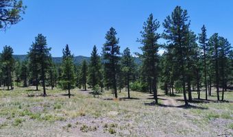 28111 County Rd 41.4, Aguilar, CO 81020