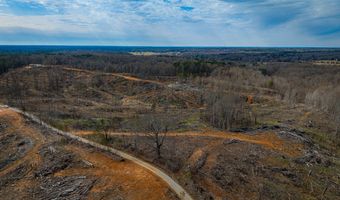 0 County Road 217 Lot 2, Blue Springs, MS 38828