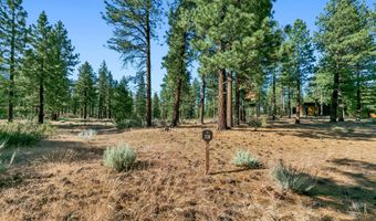 238 Redding Way, Carson City, NV 89705