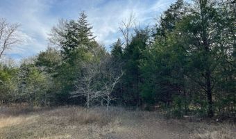 414332 E 1885 Rd, Antlers, OK 74523