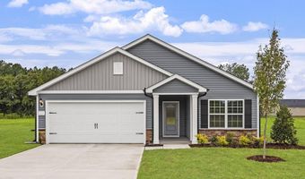 3890 Origin Dr, Bailey, NC 27807