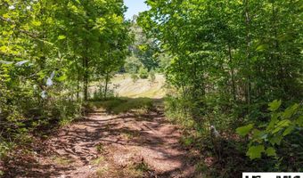 132 Jason McCall Cemetary Rd Lot 2, Balsam Grove, NC 28708