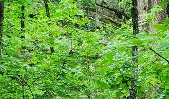 34587 County Road 246, Ava, MO 65608
