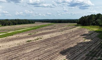 216 County Road 201, Ariton, AL 36010