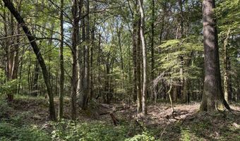 Pine Lodge Road, Batesville, MS 38606