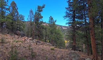 1077 Roland Dr Lot 3, Bailey, CO 80421