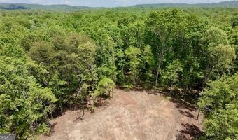 0 Hwy 105, Baldwin, GA 30511
