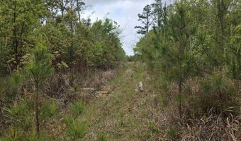 11631 Red Hill Rd Ext, Bay Minette, AL 36507