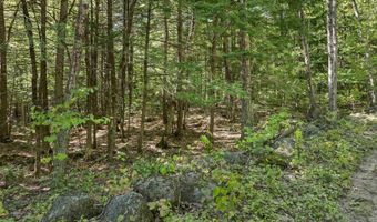 Jesus Valley Road lot 5-2-1, Alton, NH 03810