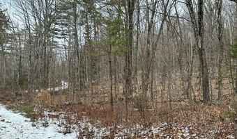 10-3 18 Myrtle St, Campton, NH 03223