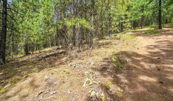 NNA USFS 2550 40 acres, Blanchard, ID 83804
