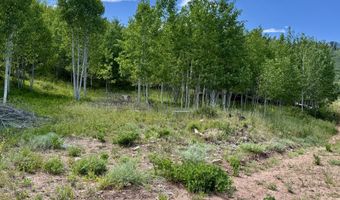 TBD CR 501, Bayfield, CO 81122