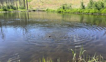 2493 Greer Rd, Bellvue, CO 80512