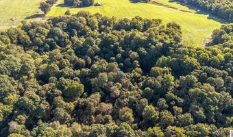 County Road 1320 lot Between County Roads 1324, Bardwell, KY 42023