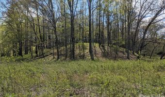 27 Woodtrail Way, Arden, NC 28704