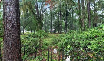 11413 NW 67TH Ter, Alachua, FL 32615