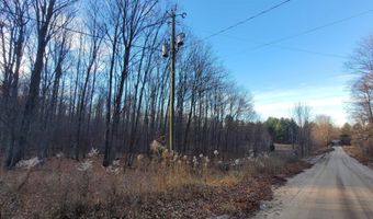 1091 Plum Valley Rd NW, Alden, MI 49612