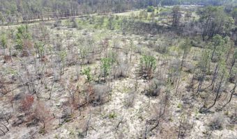 NW Isoletta Rd, Altha, FL 32421