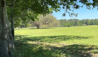 19450 Block NW 94TH Ave, Alachua, FL 32615