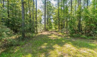 66177 Live Oak Rd, Angie, LA 70426