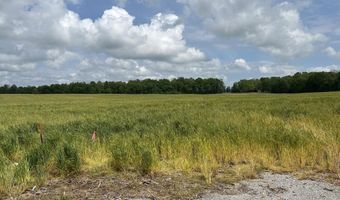54 Acres Hwy 207, Anderson, AL 35610