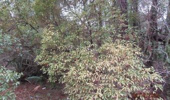 110 24th Ave, Apalachicola, FL 32320