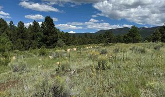 Lot 459 San Mateo, Angel Fire, NM 87710