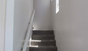 717 Calamus Palm Pl, Henderson, NV 89011