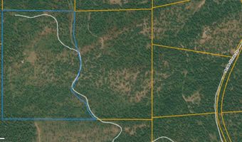 Arlee Pines lot 21, Arlee, MT 59821