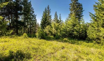 25 Starview Dr, Bigfork, MT 59911
