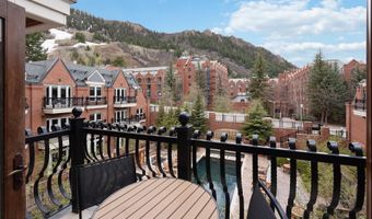 415 E Dean St Unit 36 Week 33, Aspen, CO 81611